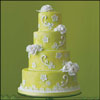 Yummy Treat - Click here to View more details about this Product